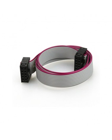 10-Way Flat Ribbon Cable with IDC Connectors